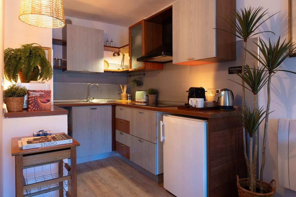 Apartment Centro • Mole Antonelliana Ma•ma Loft Oriental *